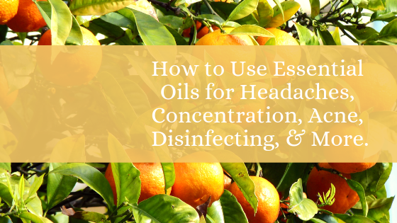 How to Use Essential Oils for Headaches, Concentration, Acne, Disinfecting, & More